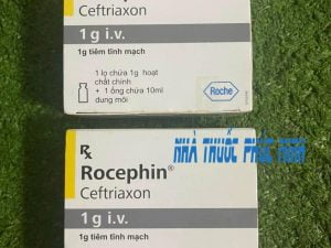 Thuốc Rocephin 1g IV mua ở đâu giá bao nhiêu?