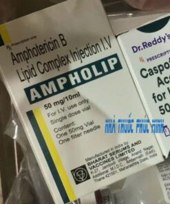 Thuốc Ampholip mua ở đâu giá bao nhiêu?