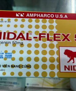 Thuốc Nidal Flex mua ở đâu giá bao nhiêu?